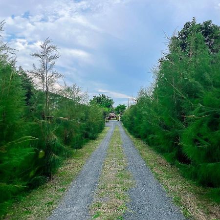 North Pine Forest Homestay บ้านไม้สนโฮมสเตย์ Ban Mae Pong المظهر الخارجي الصورة