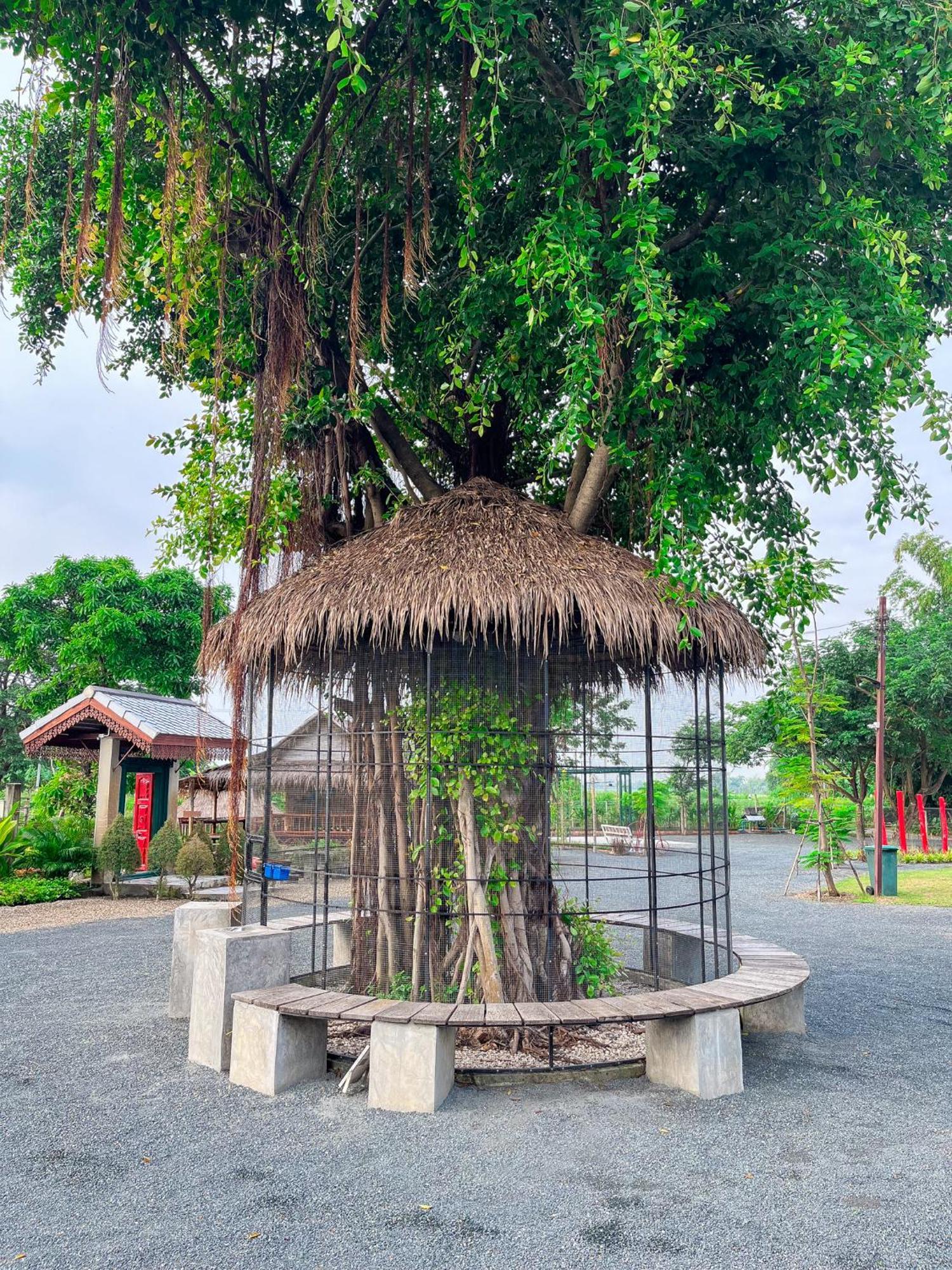 North Pine Forest Homestay บ้านไม้สนโฮมสเตย์ Ban Mae Pong المظهر الخارجي الصورة