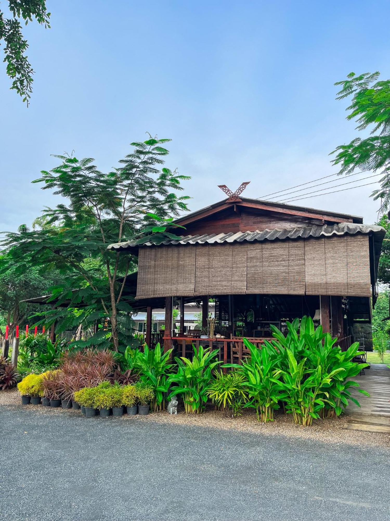 North Pine Forest Homestay บ้านไม้สนโฮมสเตย์ Ban Mae Pong المظهر الخارجي الصورة