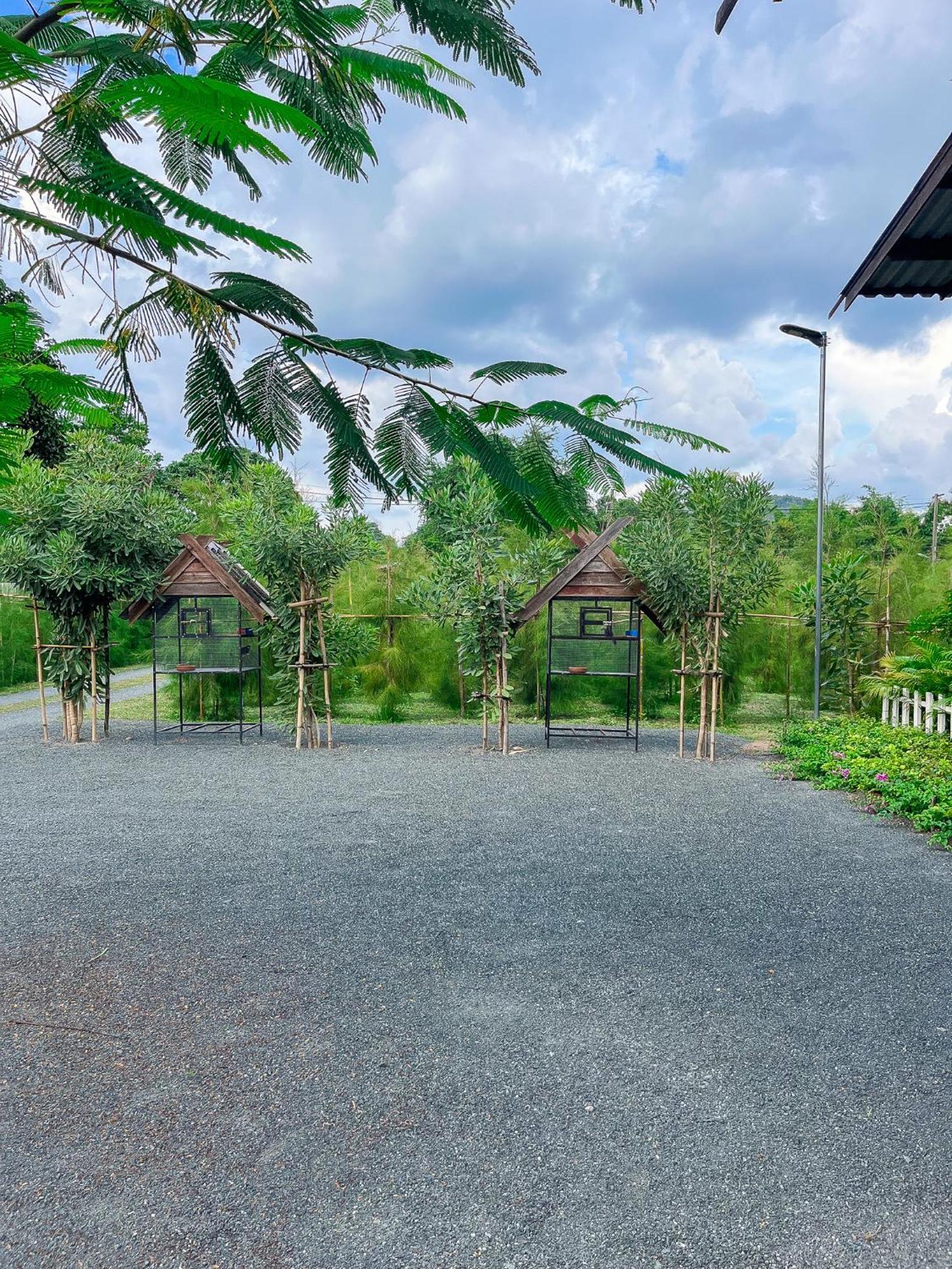 North Pine Forest Homestay บ้านไม้สนโฮมสเตย์ Ban Mae Pong المظهر الخارجي الصورة