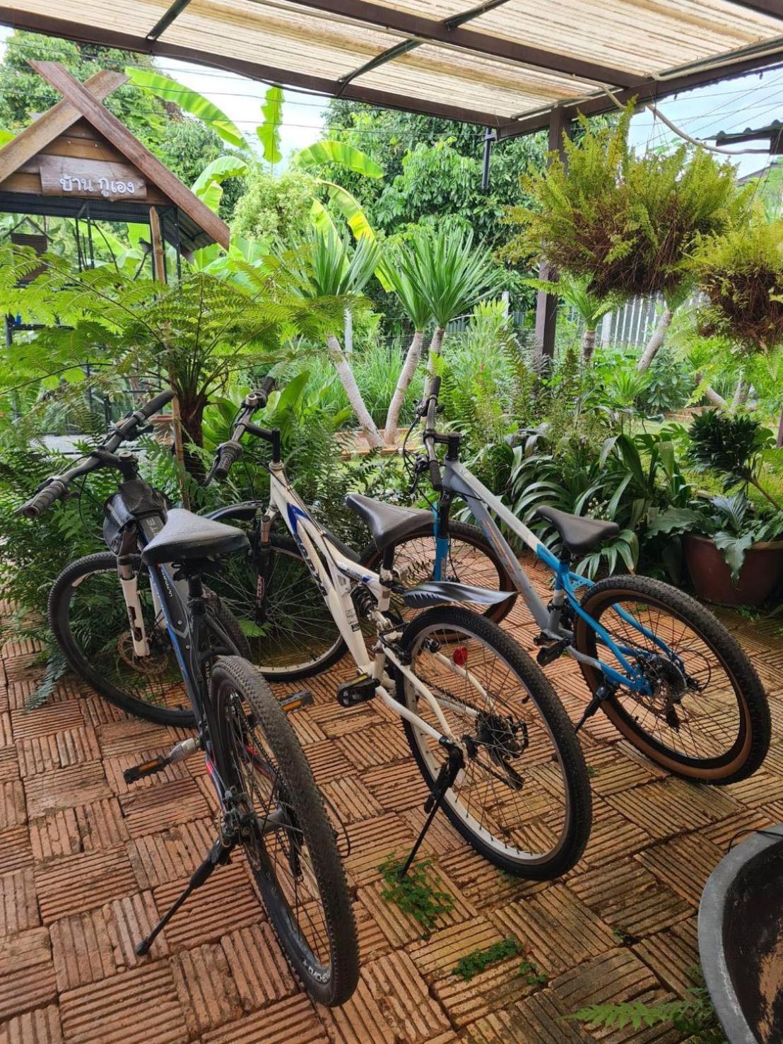 North Pine Forest Homestay บ้านไม้สนโฮมสเตย์ Ban Mae Pong المظهر الخارجي الصورة